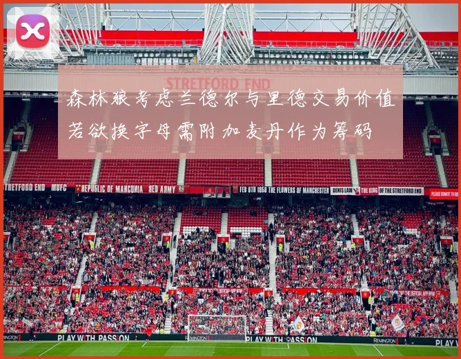 森林狼考虑兰德尔与里德交易价值若欲换字母需附加麦丹作为筹码